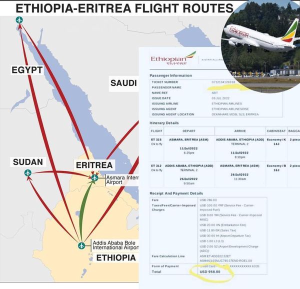 Is Ethiopian Airlines Overcharging Eritrean Travelers? Here's What You